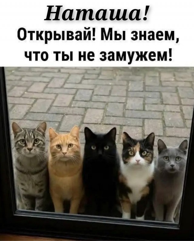 Субботние картинки