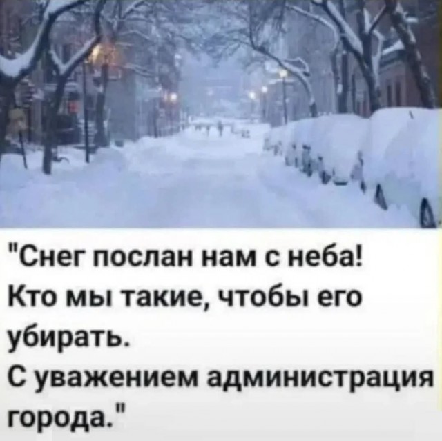 Жители подмосковного ЖК завалили снегом вход в офис управляющей компании за то, что она не чистит снег во дворе