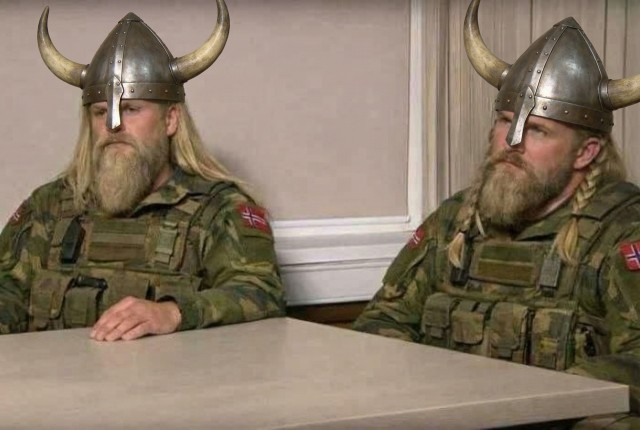 Норвежские викинги прибыли на защиту Гренландии