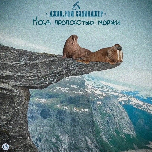 Так себе картинки 08.02.26