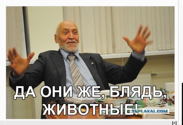 В Новосибирске названа сумма компенсации за принудительный убой изъятого скота