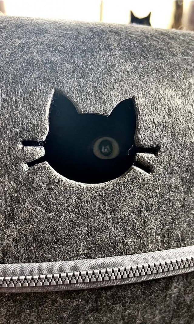 Картинки для деградации 191 (разной степени свежести)