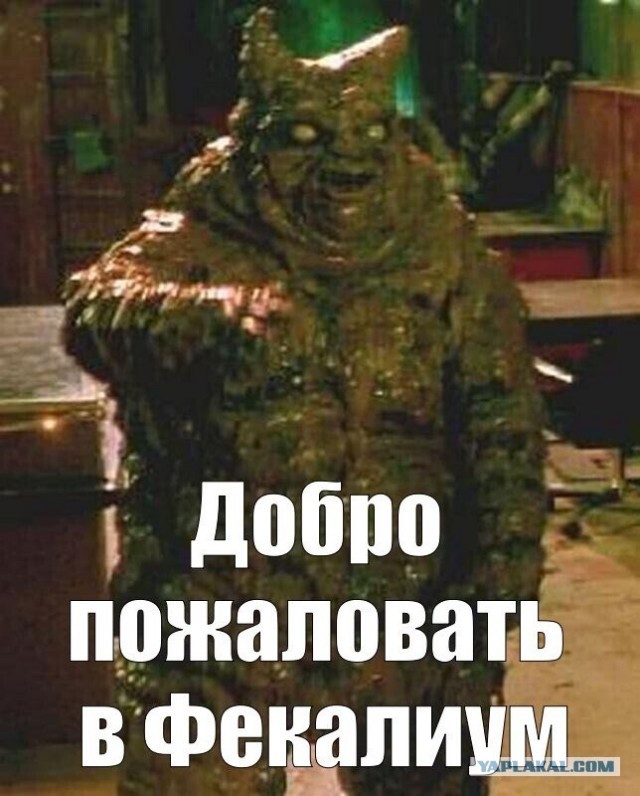 Штурман