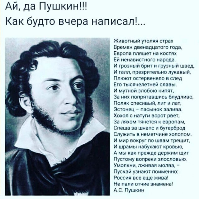 Картинки для деградации 221 (разной степени свежести)