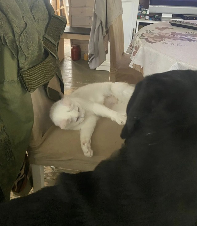 А как вы спите?