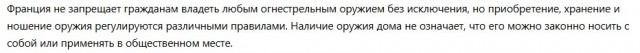 Во Франции разрешено оружие. Почему же владельцы магазинов не стреляют в погромщиков?