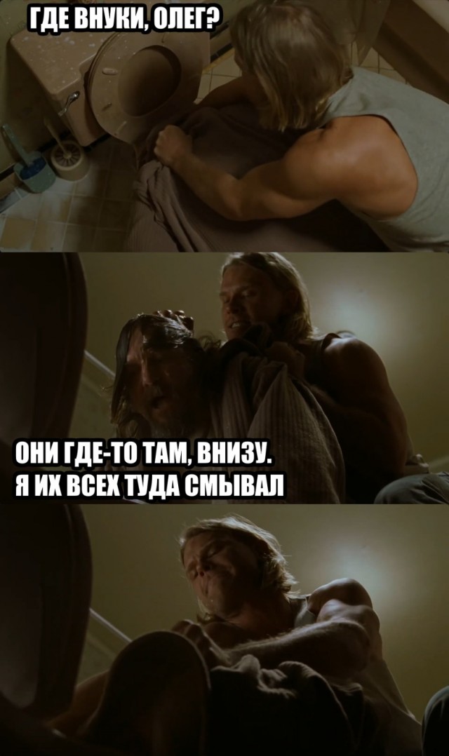 Картинки для деградации 305 (разной степени свежести)