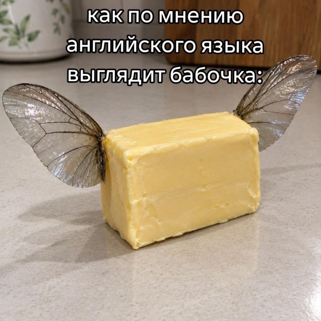 Картинки для деградации 306 (разной степени свежести)