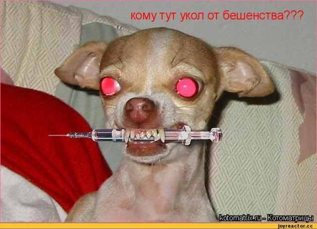 Война объявлена. Что должна делать Россия?