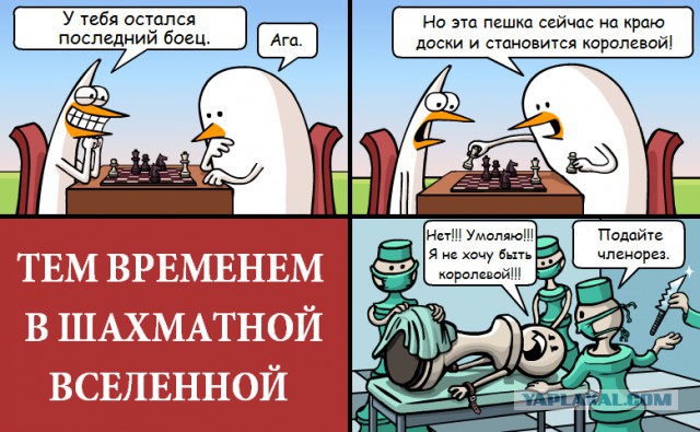 Пасанский цитатник