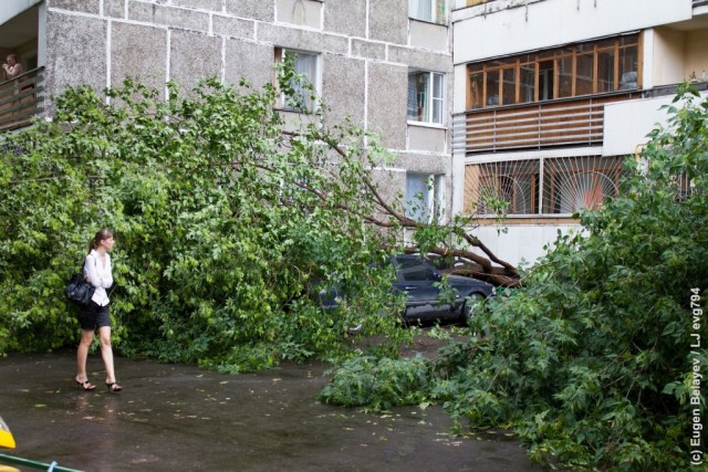 Последствия урагана в Лефортово