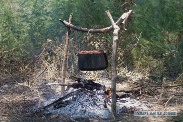 Немного рыбалки