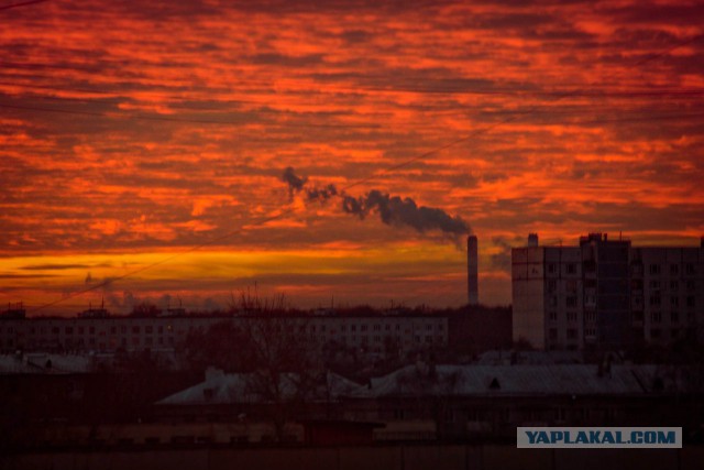 Немного своих фото