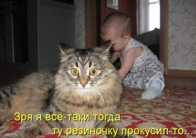 Картинки