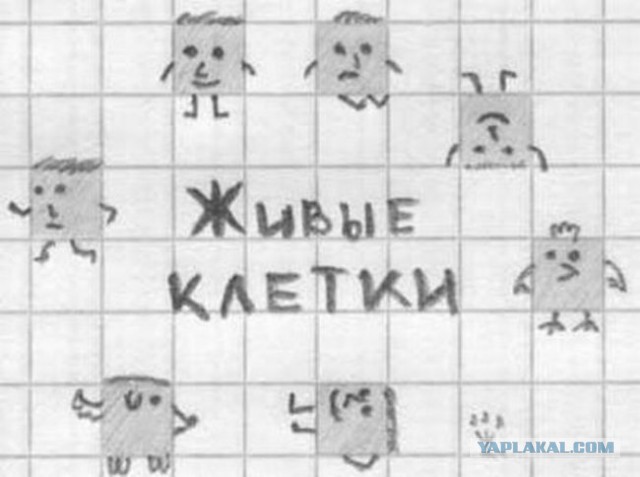 Неологизмы