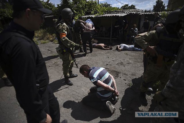 Полгода войны в Украине