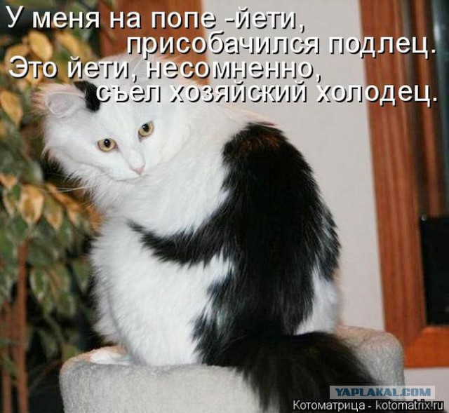Смешное из сети #2