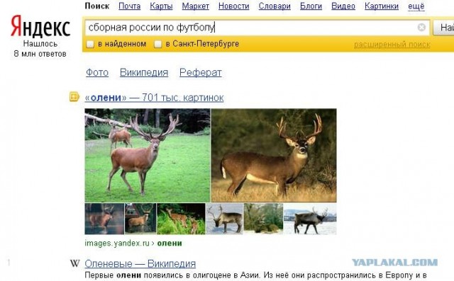Кержаков