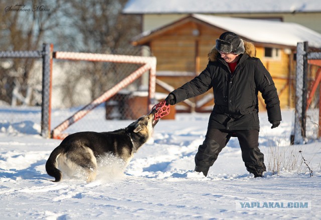 У нас, мужиков, и в 40,50,60 лет - детство!