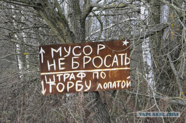 Картинок из сети немножко