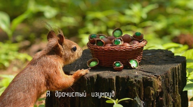 Обожаю игру слов