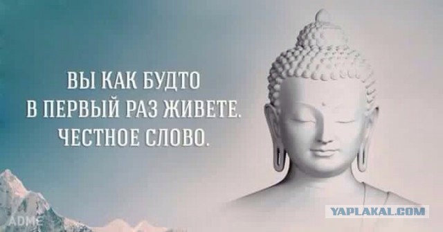 Допинг для ума: модафинил