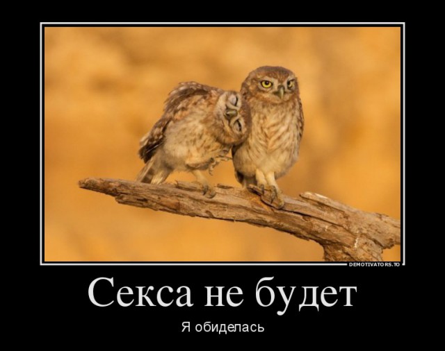 Весёлые картинки в чёрной рамке с просторов....