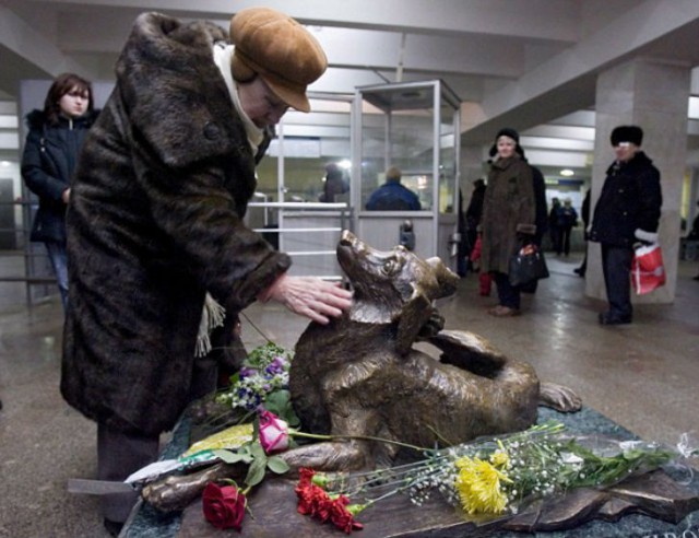 Как бездомные собаки ориентируются в московском метро