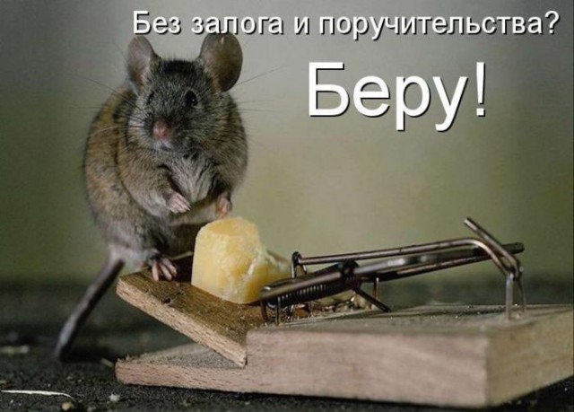 Картинки для поднятия настроения - 4