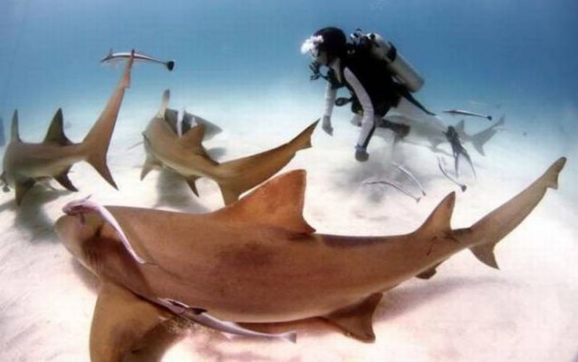 Подборка интересных и веселых фото