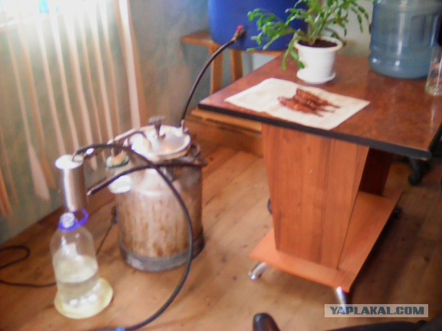 Самогон воскресный