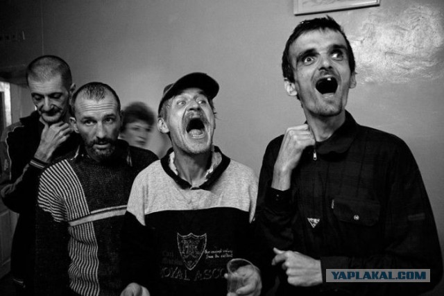 Подборка лучших страношаров за неделю