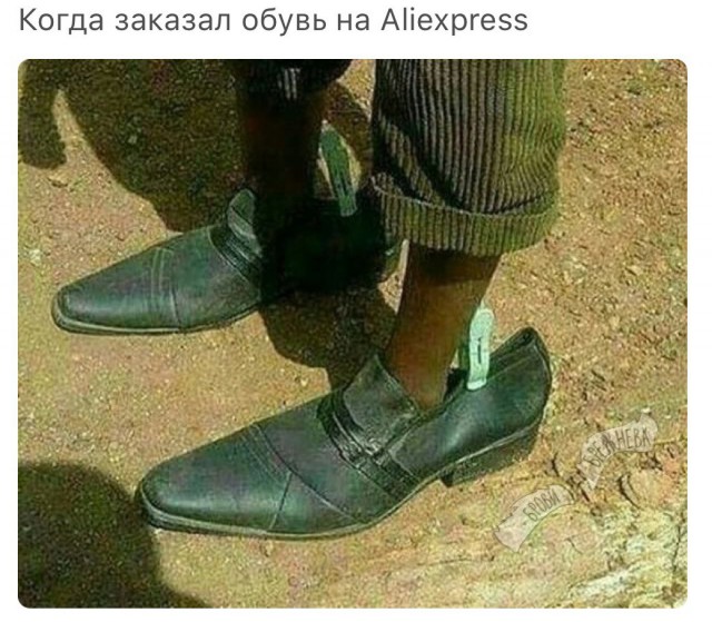 Порция абсурдного юмора на следующую неделю