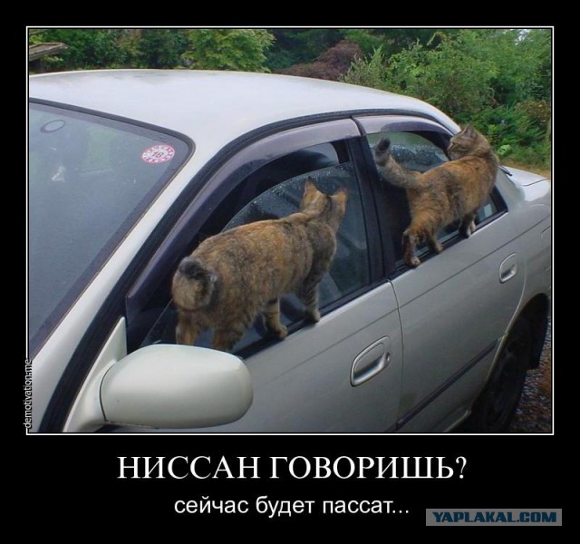 Немного картинок и демотиваторов