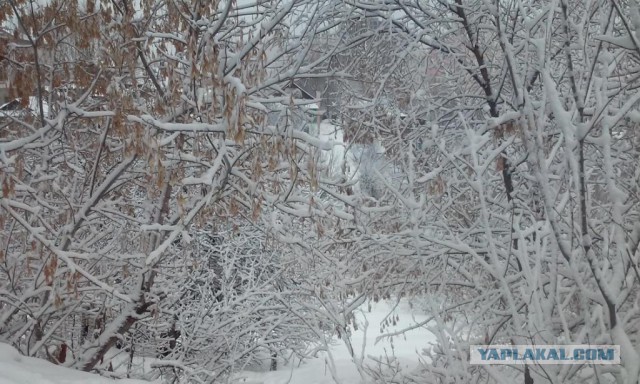 Деревенская Америка - 3