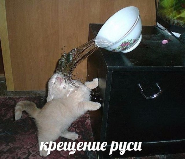 130 картинок для поднятия настроения!