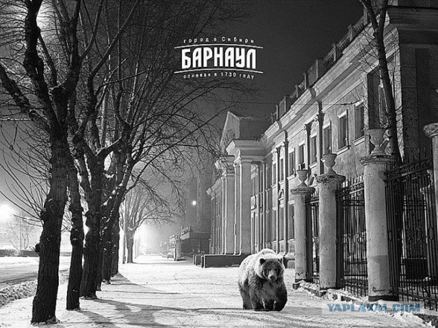 На Алтай хочу