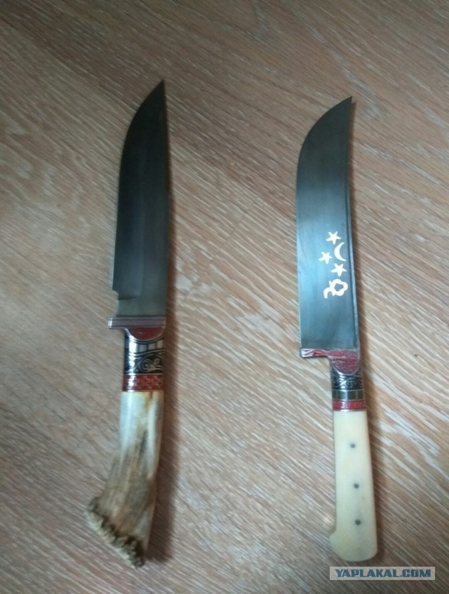 Продам Пчаки