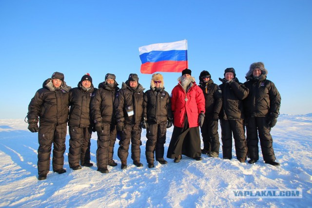 Встреча в лесу.