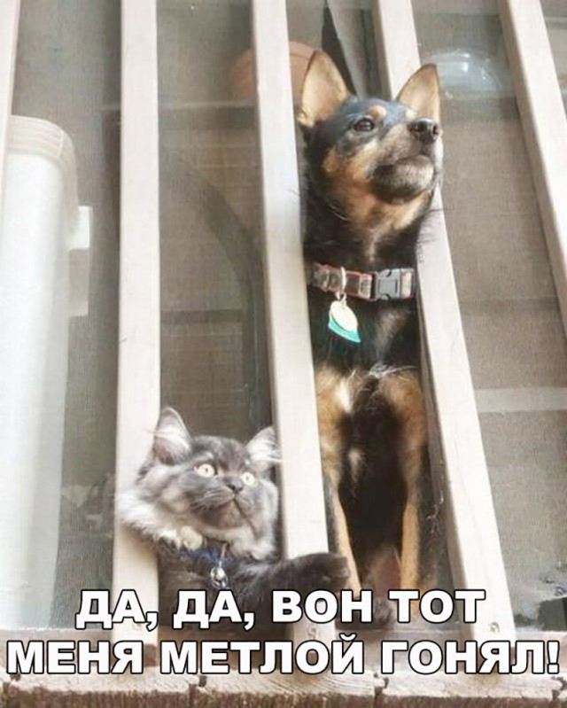 Нестандартный юмор