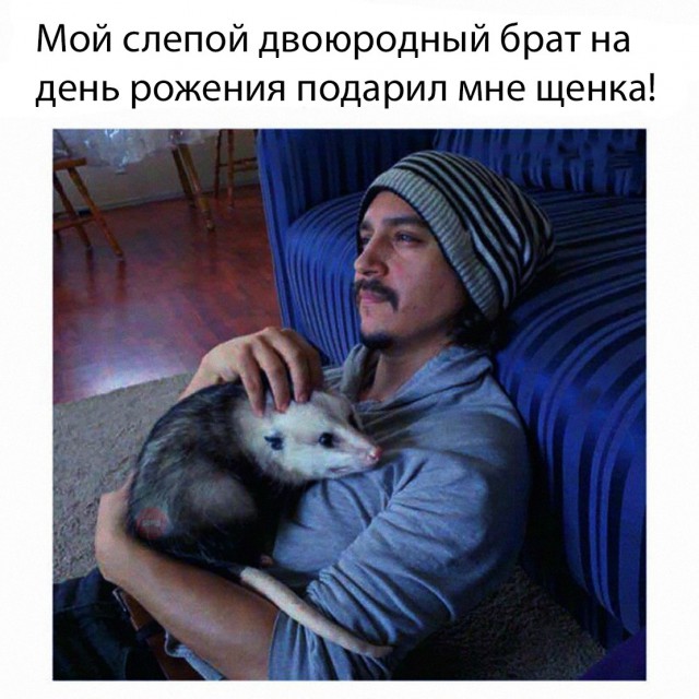 Нестандартный юмор