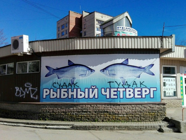 Скотсети и прочие интернеты 14.05.18