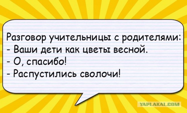 Картинки веселые и интересные
