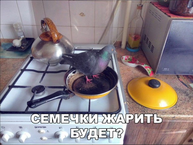 Прикольные картинки абавсём