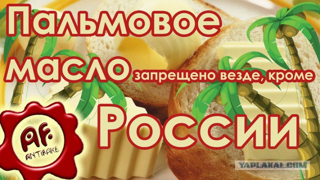 Россия впервые ввезла больше миллиона тонн пальмового масла