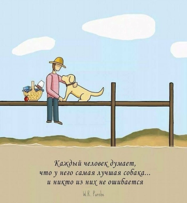 Смешные комментарии от vasek005