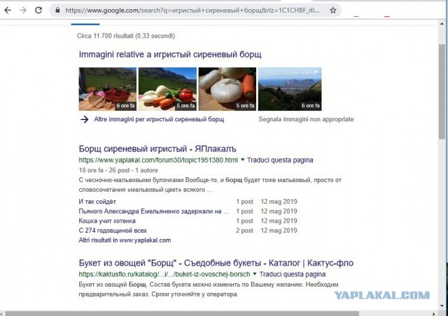 Борщ сиреневый игристый