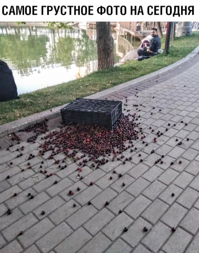 Картинки с надписями и анекдоты