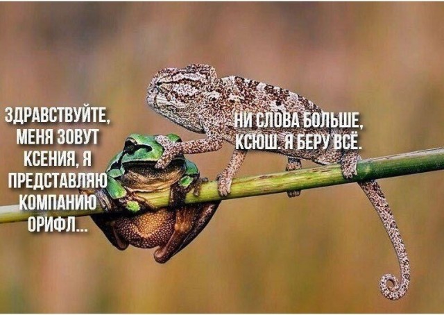 Юмор на любителя
