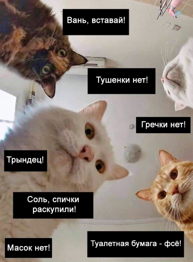 Очередное начало, пора за патронами.